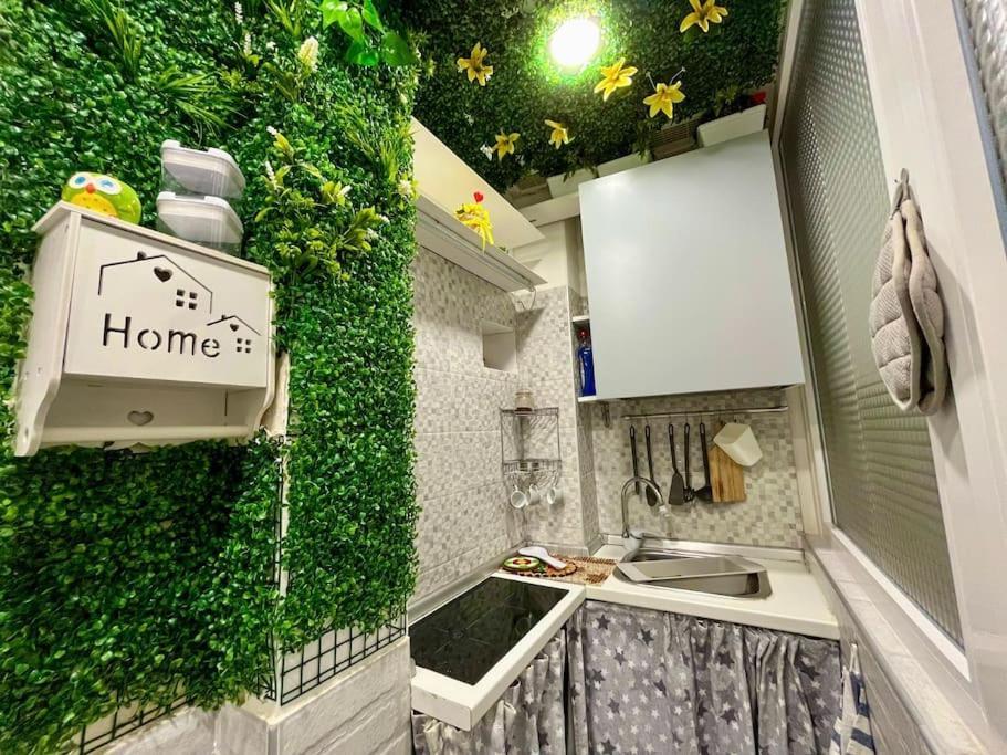 Appartement Titi Chiaia